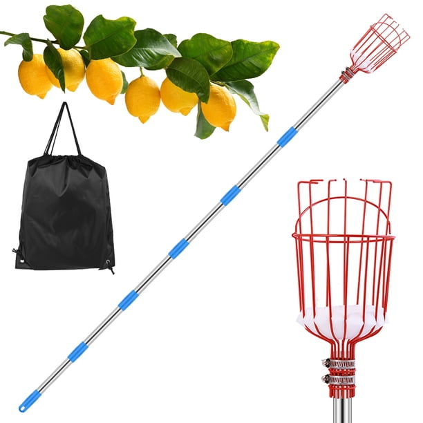 Recolector de frutas con barra telescópica Recolector de frutas de acero inoxidable Cesta duradera Herramienta de recolección de frutas Barra recolectora de frutas de peso ligero para limones Manzanas