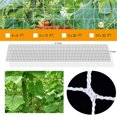 Garden Plants Climbing Net Polyester Net Morning Glory Flower Vine