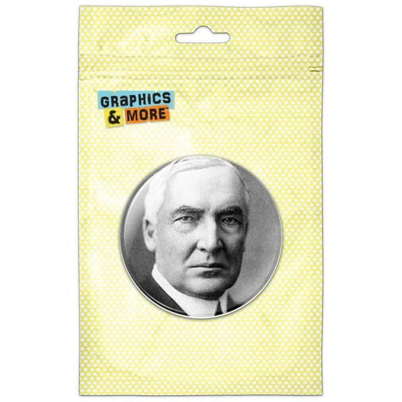 President Warren G. Harding Pinback Button Pin Badge