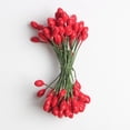 thumbnail image 3 of 500 Unidades 1000 Cabezas Dobles Cabezas Mini Falsas Bayas Artificiales DIY De rojo BLESIY Frutas Mini Falsas, 3 of 8