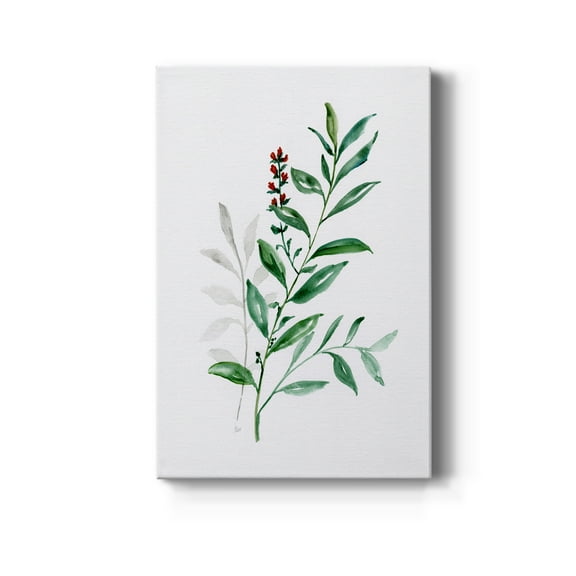 Freshly Picked III Premium Gallery Wrapped Canvas - Ready to Hang - 8 x 12