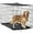 Black, variant on YANG2| Dog Crate | 24" | Black | Foldable Metal Kennel with Double Doors, Secure Slide-Bolt Latches, Leakproof Tray | Portable Dog Cage for Small Breeds | for Travel, Indoor & Outdoor Use