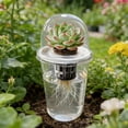 thumbnail image 3 of SharkTRUE Clear Hydroponic Seedling Starter Kit, Inch Cups with Humidity Domes for Root Observation and Indoor Growth,Reusable Nursery System for Cuttings, Degree Visibility, 3 of 10
