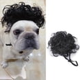 thumbnail image 4 of Pet Wig, Black Curly Afro Hairstyle, 1 Piece for Cats and Dogs, Funny Cosplay Costume Accessory for Halloween Party Holiday Photo Shoot Decoration, 4 of 4