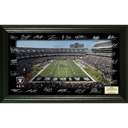 Riddell Oakland Raiders Signature Football - Oakland Raiders 2017 Signature Gridiron Collection