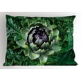 thumbnail image 1 of Artichoke Pillow Sham Photograph of Blooming Vegetable Agriculture Nature Artwork Print, Decorative Standard Size Printed Pillowcase, 26 X 20 Inches, Fern Green and Purple, by Ambesonne, 1 of 2