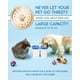 thumbnail image 3 of Dispensador automático de agua para gatos Veken Pet Fountain 95 oz, 3 of 6