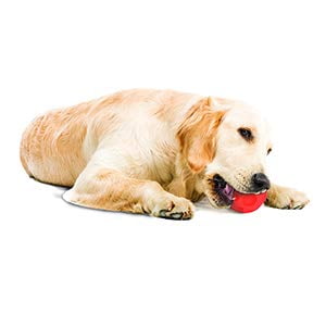 Omega Paw Tricky Treat Medium Size Ball Dog Toy