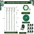 thumbnail image 4 of Plant Support Stakes for Indoor Plants Detachable Twig Plant Stakes and Supports Branch Plant Sticks with Clips Twist Plant Ties, Twig Trellis for Outdoor Plants Potted Plants 6 Pack 43.30", 4 of 9