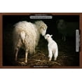 thumbnail image 3 of Sheep with a Lamb Standing in the Doorway of the Barn Maternal Instinct, Animals Framed Art Print Wall Art by Katarzyna Mazurowska Sold by Art.Com, 3 of 6