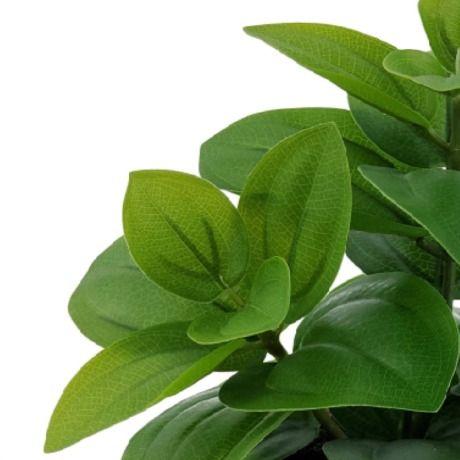 Mainstays 9 in Artificial Peperomia Plant in White Pot, Green Color, 0.5lb Weight.