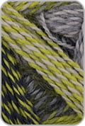 Schoppel Wolle - Zauberball Crazy Knitting Yarn - Lime/ Greys (# 2204)