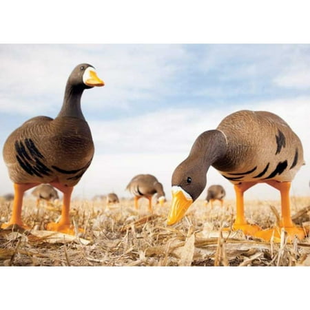 Big Foot Whitefront Specklebelly Goose Decoys 6 Pack