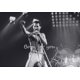 thumbnail image 3 of Cuadro sobre lienzo de la famosa estrella de rock Freddie Mercury, cuadro artístico para pared, decoración del hogar para sala de estar, regalo para fan de Queen, 3 of 5