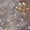 Baroque Golden Butterfly, variant on 3D Nail Stickers for Nail Art, Embossed Self-Adhesive Cute Nail Charms & Decals for DIY Nails, Easy-to-Apply Nail Design Supplies & Accessories for Home Manicure-Camellia Pink Flower