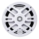 thumbnail image 2 of Bocinas Marinas DB Drive APS65W 250 Watts 6.5 Pulgadas ... DB Drive APS65W, 2 of 14