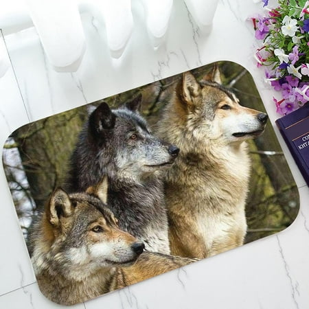 - GCKG Wolfs Wild Animal Non-Slip Doormat Indoor/Outdoor/Bathroom Doormat 23.6 x 15.7 Inches