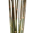 thumbnail image 3 of Vickerman 36" Merlot Plume Reed Bundle (15-20 stems), Preserved, 3 of 4