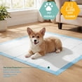 thumbnail image 4 of Disposable Underpads 23'' X 36'' (25-Count) Incontinence Pads, Chux, Bed Covers, Puppy Training | Thick, Super Absorbent Protection for Kids, Adults, Elderly Liquid, Urine, Accidents, 4 of 5