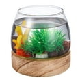 thumbnail image 2 of Bol en Verre pour Poisson, Terrarium, Réservoir d'Aquarium, Vase pour Poissons Rouges, Succulentes et Propagation, 2 of 8
