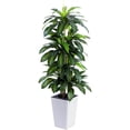 thumbnail image 1 of Árbol artificial de dracaena con maceta blanca, decoración de interiores, oficina, casa, regalo de inauguración, 1 of 4