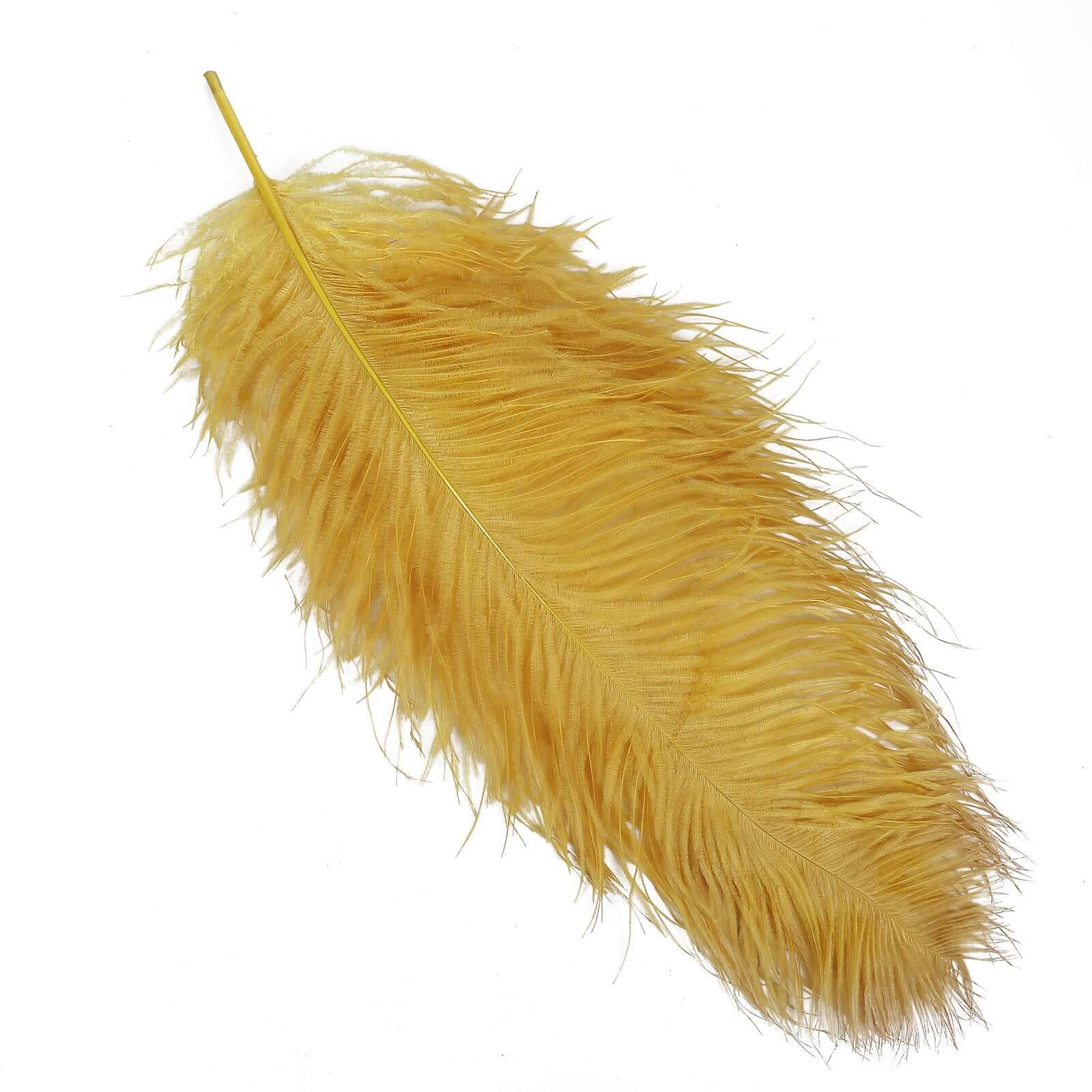 Efavormart 12 RARE 24"-26" Ostrich Plume Feathers For Wedding Birthday Party Dance Banquet Event Decoration - Gold