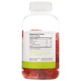 thumbnail image 3 of Zahler - Chapter One Fiber Gummies - 120 Gummies, 3 of 4