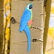 thumbnail image 5 of Adornos de Estatua en La Pared Escultura de Pájaros Decoración Artesanía Figuras de Loros Artificiales para Exteriores, , Patio , Azul Macarena Estatua de loro, 5 of 8