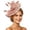 Pink, variant on Wedding Party Fascinator Headpiece Hat for Ladies Day Events Fall Things for Women
