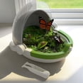 thumbnail image 4 of Caja de alimentación de plástico para niños, juguetes al aire libre, caja de alimentación de reptiles, jaula de hábitat de transparente para Colco Casa reptil, 4 of 8