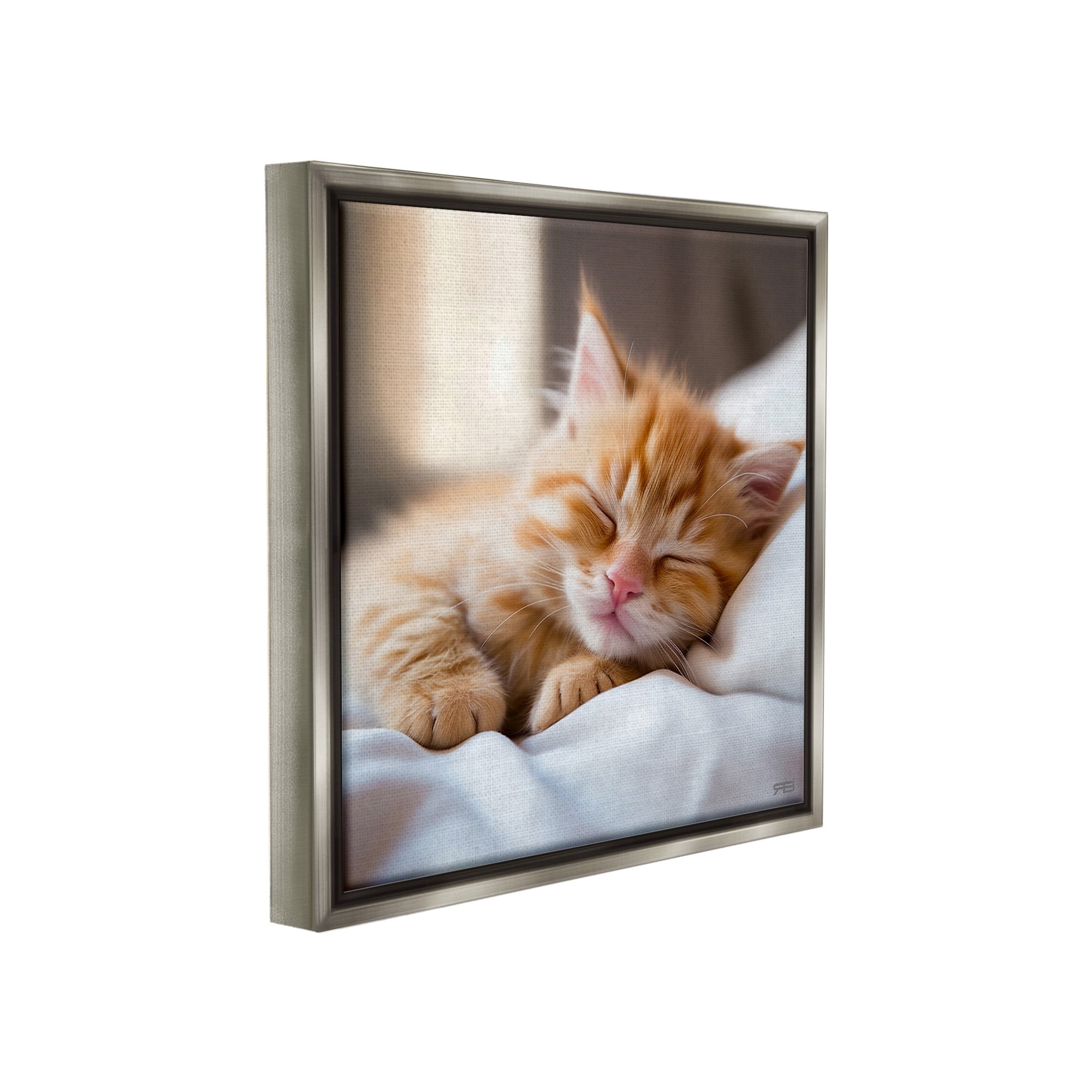 Stupell Industries Sleeping Orange Kitten Animals & Insects Painting Gray Floater Framed Canvas Art Print Wall Art, 25 x 25
