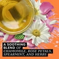 thumbnail image 5 of Tazo Calm Chamomile Tea Bag Herbal tea 20ct, 5 of 8