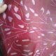 thumbnail image 5 of Envío gratuito bufanda infinita pañuelos grandes para mujer poncho cálido para mujer chal musulmán circular de moda, 5 of 5
