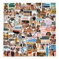 thumbnail image 1 of Pegatinas Outers Banks, vinilo impermeable, estilo anime, 100 unidades, 1 of 5