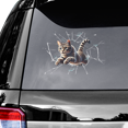 thumbnail image 2 of Lotusprinthandmade Cat Transparent Vinyl Decal (14x14 Inches), Cat Car Decal, 2 of 4