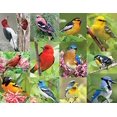 thumbnail image 1 of Springbok Alzheimer & Dementia Jigsaw Puzzles - Birds of a Feather - Rompecabezas de 36 piezas - Rompecabezas grande de 18 por 23,5 pulgadas - Fabricado en EE. UU. - Piezas extra grandes de fácil agar Springbok 43-36024, 1 of 1