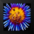 thumbnail image 2 of Bannon, Heidi 12x12 Black Modern Framed Museum Art Print Titled - Color Pop Deep, 2 of 5