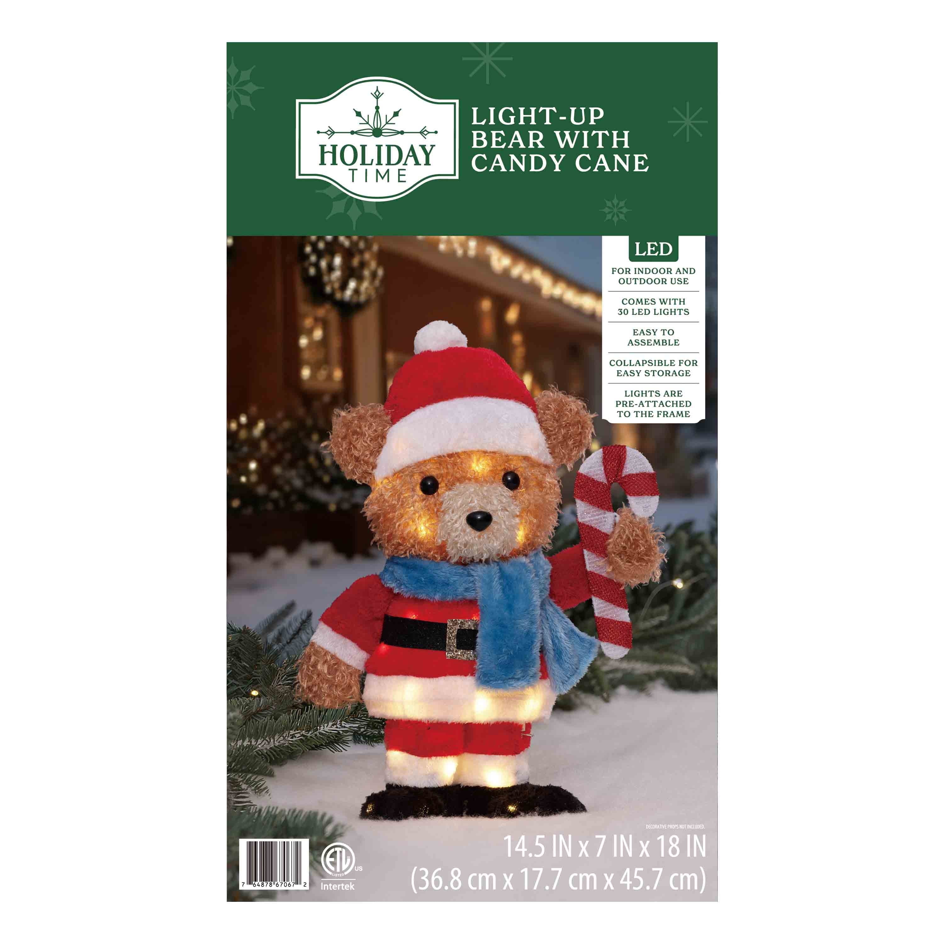 Indoor/Outdoor Light-Up Plush Bear with Candy Cane Christmas Decoration with 30 LED Lights, Warm White, 18", by Holiday Time
