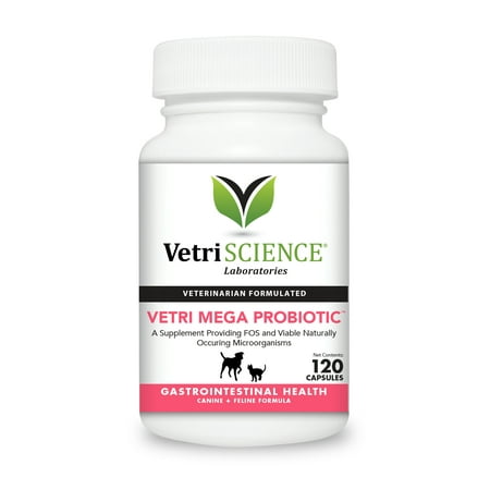 VetriScience Laboratories Vetri Mega Probiotic, Digestive Health Supplement for Cats and Dogs, 120 (Best Probiotics For Cats)