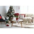 thumbnail image 3 of 18" x 18" Simply Daisy Light Bright Polyester Accent Pillow, Ice (1 Count), 3 of 4