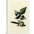 thumbnail image 1 of ARTCANVAS American Magpie Canvas Art Print by John James Audubon - Size: 60" x 40" (0.75" Deep) (3-Piece), 1 of 9