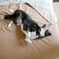 thumbnail image 6 of Catalonia Waterproof Throw Blankets for Beds, All Ages, People and Pets, Camel/Taupe, 60" x 80", 6 of 7