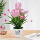 thumbnail image 4 of Gwong Decoración hogareña Pote de plantas artificiales no con mesa de mesa de mesa de mesa plástico tulipán de tulipán de tulipán para el hogar Gwong 21068840, 4 of 6