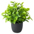 thumbnail image 2 of ERTZAE 2Pc Artificial Greenery Potted Plants,Indoor Tabletop Home Decor,Maintenance-Free Plant Combination,Multi-Style Greenery Ornament,Natural Atmosphere Plant,Space-Friendly Potted Greenery C, 2 of 9