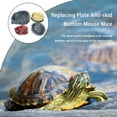 thumbnail image 4 of stanreset 1/2/3/5 Résine Reptile Nourriture Eau Bol de Remplacement Réutilisable Décoratifs Inodore Universel Alimentation Bols Alimentation Accessoires Type 2 1 Pc, 4 of 6