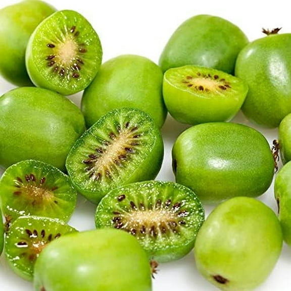 Eveline Cosmetics 10 Hardy Kiwi Plant Seeds, Non-GMO