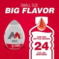 thumbnail image 2 of Mio Liquid Water Enhancer Berry Variety Pack, 4 CT, 2 of 12