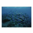 thumbnail image 1 of Fish Cutting Board, Shoal of Fish on Stony Plant Animals in Submarine and Sun Beams on the Surface Image, Decorative Tempered Glass Cutting and Serving Board, Small Size, Multicolor, by Ambesonne, 1 of 1