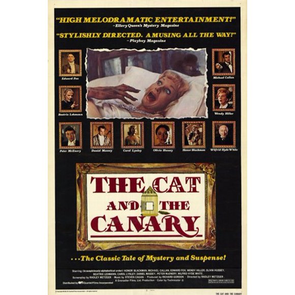 The Cat and the Canary Movie Poster (11 x 17)