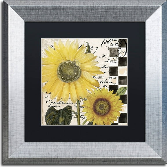 Trademark Fine Art "Late Summer I" Canvas Art by Color Bakery, Black Matte, Silver Frame